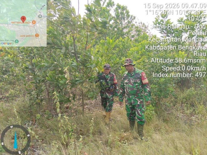 Patroli Karhutla Terus dilakukan, Babinsa Serda Z. Panjaitan, Serda Paino cek Lahan Rawan di Desa Petani, Batsol, Bengkalis