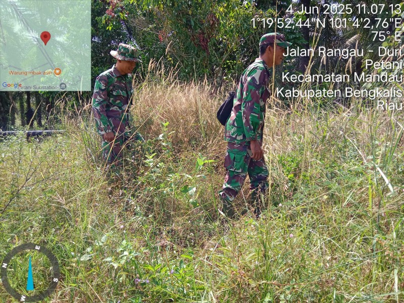 Babinsa Sertu Sutiman, Sertu Fikri, Serda Reza R Berpatroli Karhutla di  Desa Petani, Mandau, Bengkalis