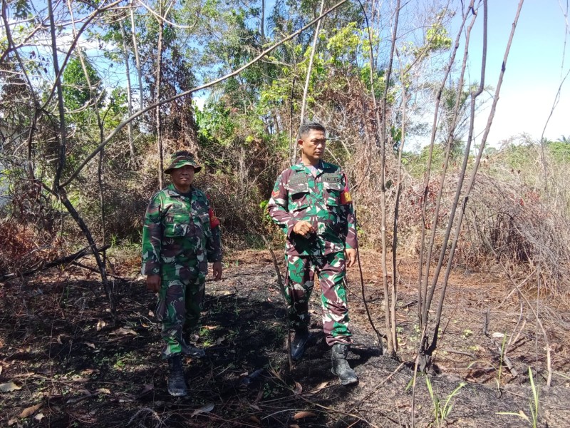 Babinsa Sertu Rosdianto, Koptu Bambang, Kopda Ade kurniawan Berpatroli Karhutla di Jalan Rangau, Desa Petani, Bengkalis
