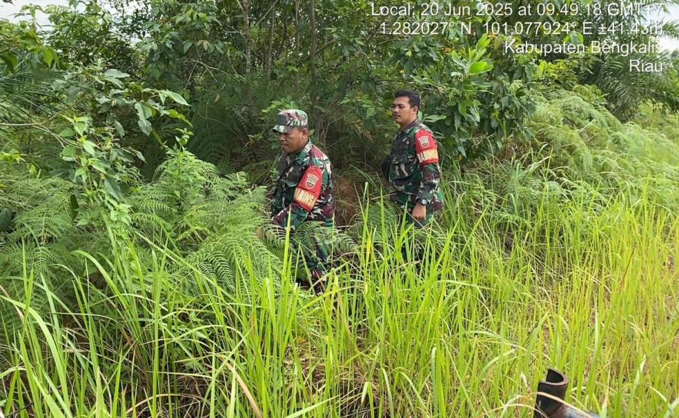 Babinsa Serma Agusliadi, Serka Ristiyo, Praka Alif Berpatroli Karhutla di Desa Buluh Manis, Bengkalis