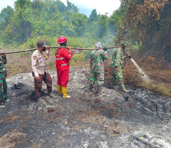 Upayakan Pemadaman dan Pendinginan, Babinsa Koramil 04/Mandau Serka Roy, Sertu Robbi Serta  Tim Terjun Ke Dusun Tambusu Desa Buluh Apo