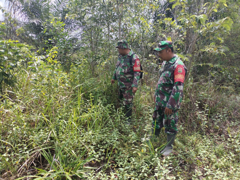 Cegah Karhutla, Babinsa Sertu Roy P, Sertu Chandrawan dan Serda AT. Silaban di Pematang Pudu, Mandau