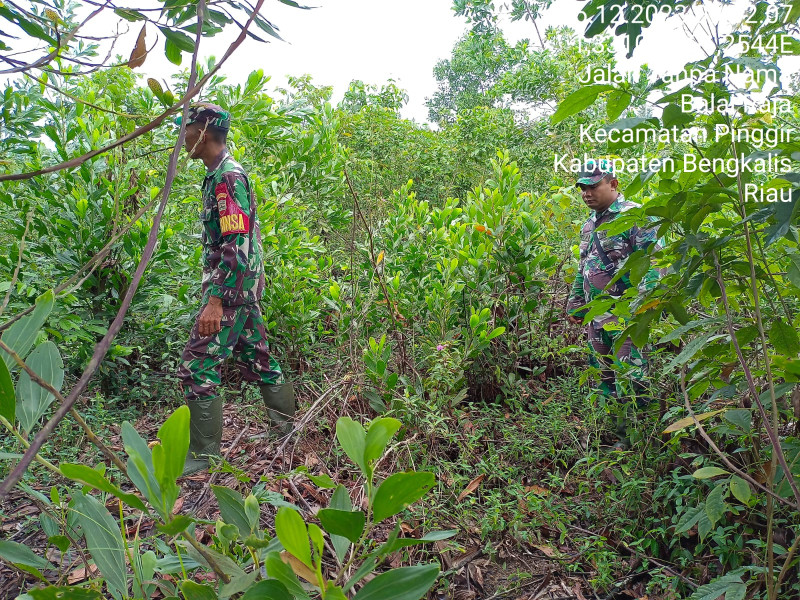 Terus Laksanakan Patroli, Babinsa Koramil 03/Mandau Sertu R. Pardomuan dan Sertu Robby di Balai Raja, Pinggir