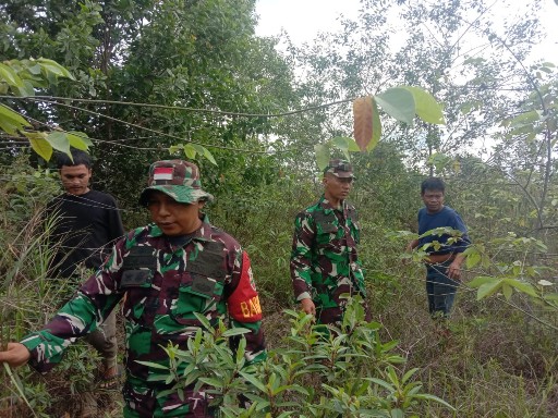 Babinsa Koramil 03/Mandau Sertu Handoko dan Koptu ML. Silaban Gencar Laksanakan Patroli Karhutla di Balai Makam