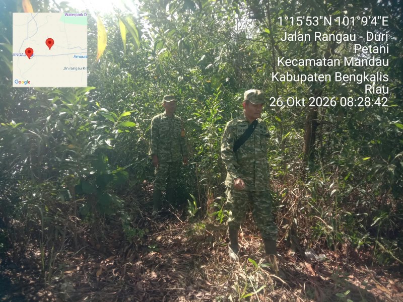 Patroli Karhutla Terus dilakukan, Babinsa Serka S.D G.Barus, Serka Handoko cek Lahan Rawan di, Jalan Rangau, Desa Petani