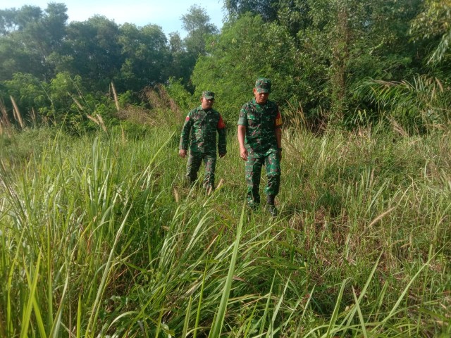 Babinsa Koramil 03/Mandau Sertu Alinaspi dan Kopda S. Nasution Gencar Laksanakan Patroli Karhutla di Balai Raja