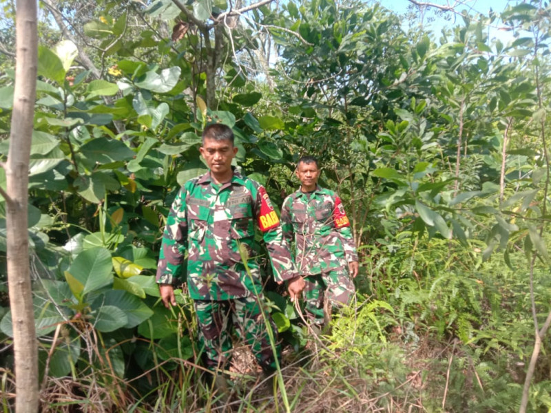 Babinsa Koramil 03/Mandau Sertu Handoko dan Serda D. Simanjuntak Gencar Laksanakan Patroli Karhutla di Bathin Solapan