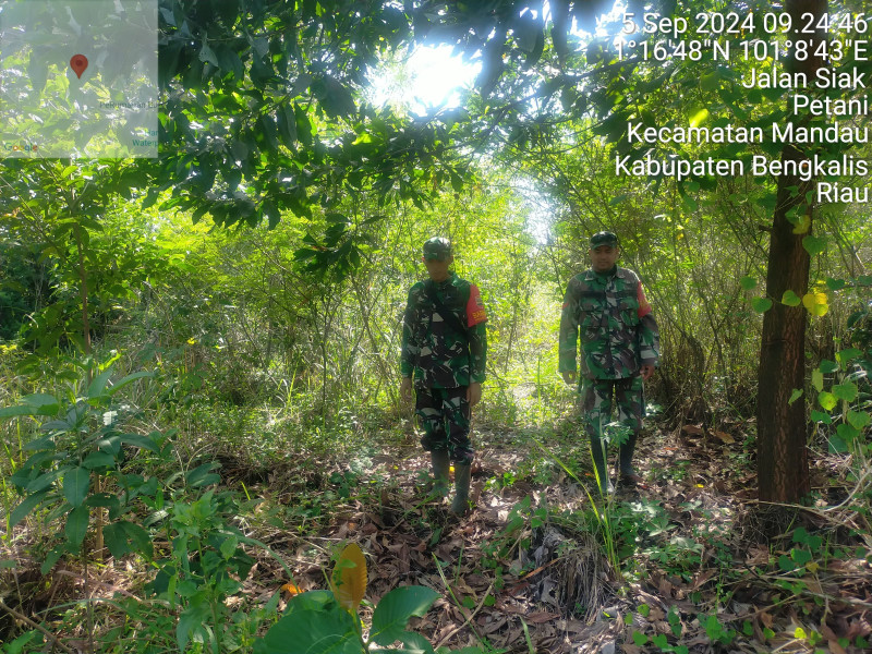 Cegah Karhutla, Babinsa Mandau Peltu Sigit, Serda Sutiman dan Kopda M. Khan Laksaksanakan Patroli di Batsol