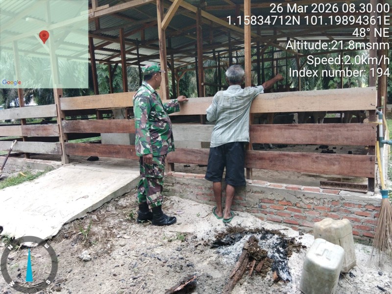 Babinsa Serda Paino, Cek Hewan Ternak Kambing Antisipasi PMK, di Desa Buluh Apo, Batsol