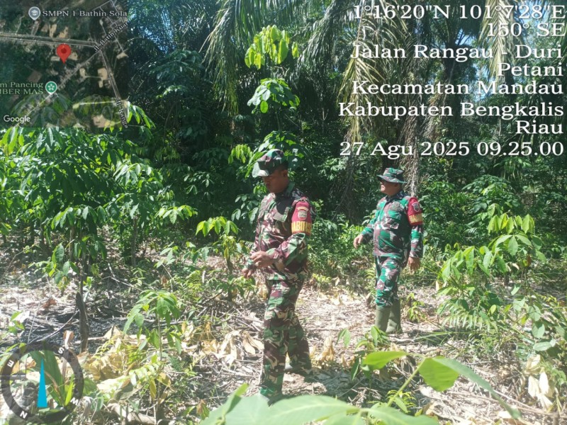 Babinsa Peltu Sigit N W, Koptu Bambang, Kopda P Samosir Berpatroli Karhutla di Jalan Tanpa Nama, Desa Petani, Kecamatan Batsol