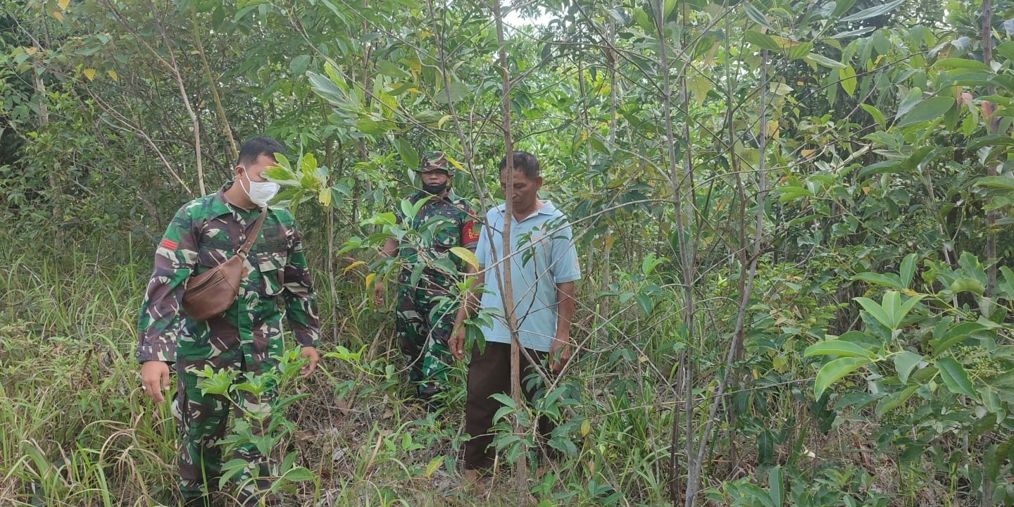 Kopda Dedi dan Praka Alif Patroli Karhutla di Tegar Kelurahan Pematang Pudu