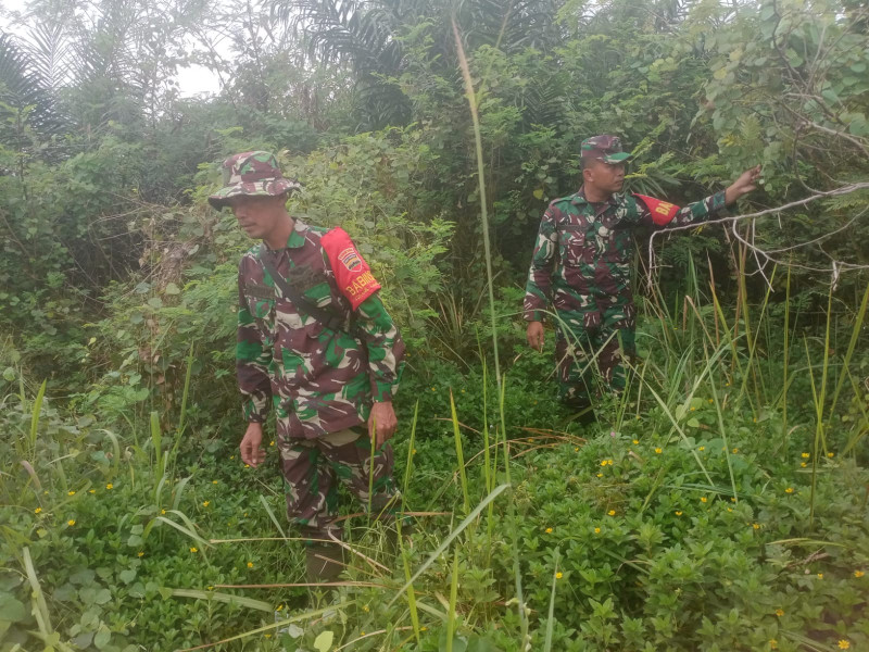 Babinsa Serma Agusliadi, Sertu Sutiman dan Serda Zulkarnain Berpatroli Karhutla di Pematang Pudu, Mandau
