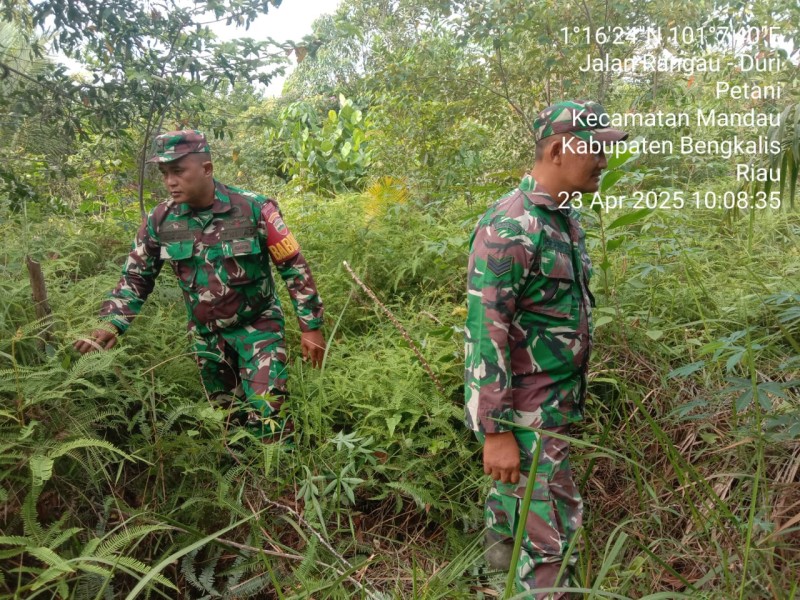 Babinsa Serka Agung, Sertu Handoko, Serda Ahmad Junaidi, Berpatroli Karhutla di Desa Buluh Manis, Bengkalis