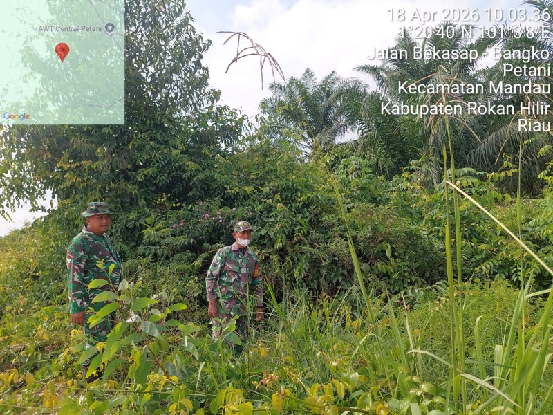 Babinsa Pelda Agus wp, Serda Djuntak  Patroli Karhutla di Desa Petani, Kecamatan Bathin Solapan