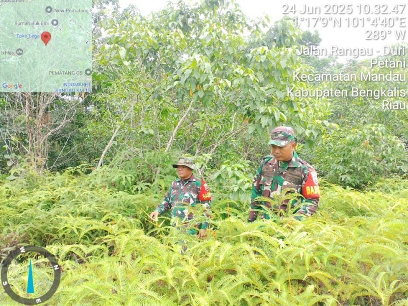 Babinsa Serda Zulkarnain, Kopda P.Samosir, Pratu Kifron Berpatroli Karhutla di Jalan Rangau KM 16, Bengkalis