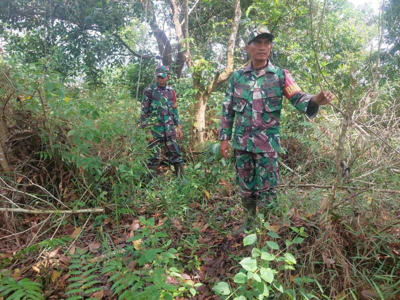 Babinsa Sertu Roby, Serda D.Simanjuntak Berpatroli Karhutla di Jalan Tegal Sari Ujung Desa Petani, Bathin Solapan, Bengkalis