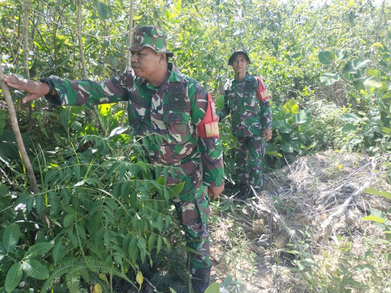 Babinsa Serma Agus liadi, Sertu AT. Silaban, Pratu M. Hanafi Berpatroli Karhutla di Desa Petani, Kelurahan Air Jamban