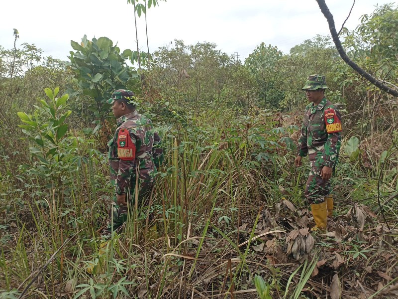 Babinsa Serma Agus liadi, Sertu Handoko, Sertu Robbi Patroli Karhutla di jalan Bekasap, Desa Petani