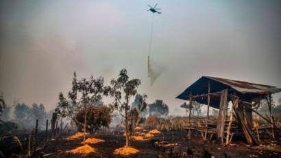 Lalai Tangani Karhutla, Kapolsek Teluk Meranti Dicopot