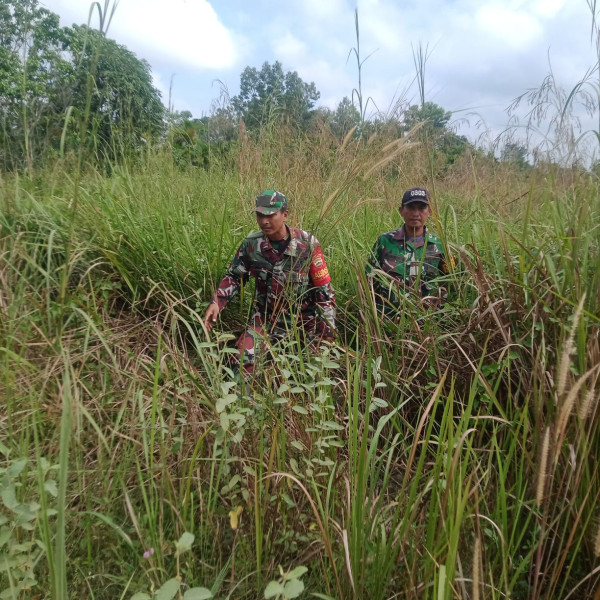 Terus Laksanakan Patroli, Babinsa Koramil 03/Mandau Serma Suprapto, Serda D. Simanjuntak dan Serda Junaidi di Wilayah Perbatasan