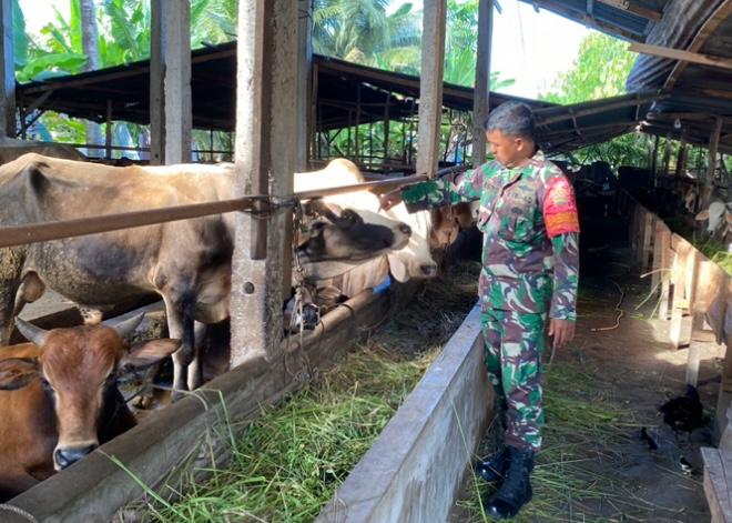 Babinsa Serka Ristiyo Laksanakan Pengecekkan Hewan Ternak di Jalan Tegal Sari Kelurahan Air Jamban