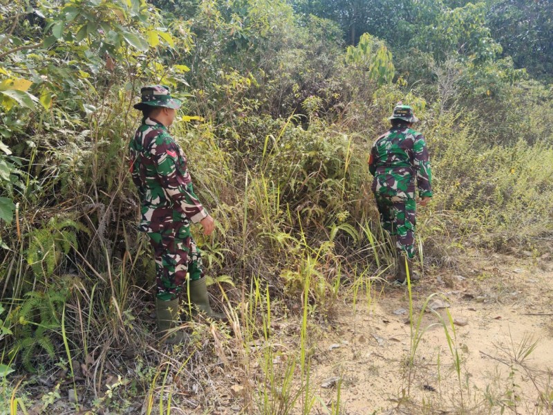 Babinsa Serma TR.Lase, Sertu Ahmad , Koptu P. Samosir Patroli Karhutla di Kelurahan Air Jamban, Batsol
