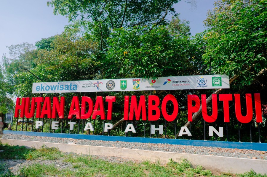 Hutan Adat Imbo Putui Suguhkan Keseimbangan Ekonomi dan Alam Berkelanjutan