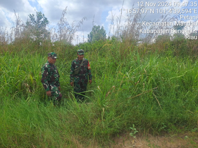 Babinsa Sertu Rosdianto, Sertu Joni R., Praka Amser Manulang Berpatroli Karhutla di Bathin Solapan