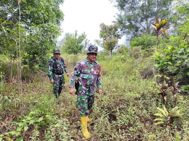 Babinsa Serma Fauzi, Serma Tr. Lase Patroli Karhutla di Desa Petani, Kecamatan Bathin Solapan