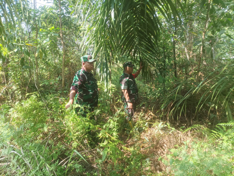 Terus Laksanakan Patroli, Babinsa Koramil 03/Mandau Peltu Sigit dan Serma Agusliadi di Desa Petani, Duri