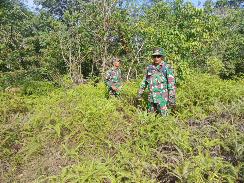 Babinsa Pelda Yulihar dan Kopda Ade Kurniawan Berpatroli Karhutla di Desa Petani, Batsol