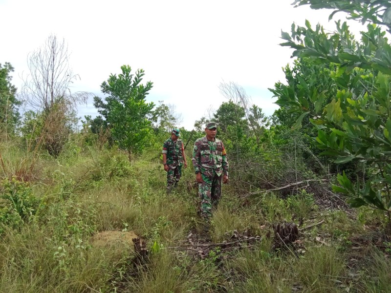 Babinsa Sertu Awaludin, Koptu Ade kurniawan Patroli Karhutla di Desa Petani, Bathin Solapan