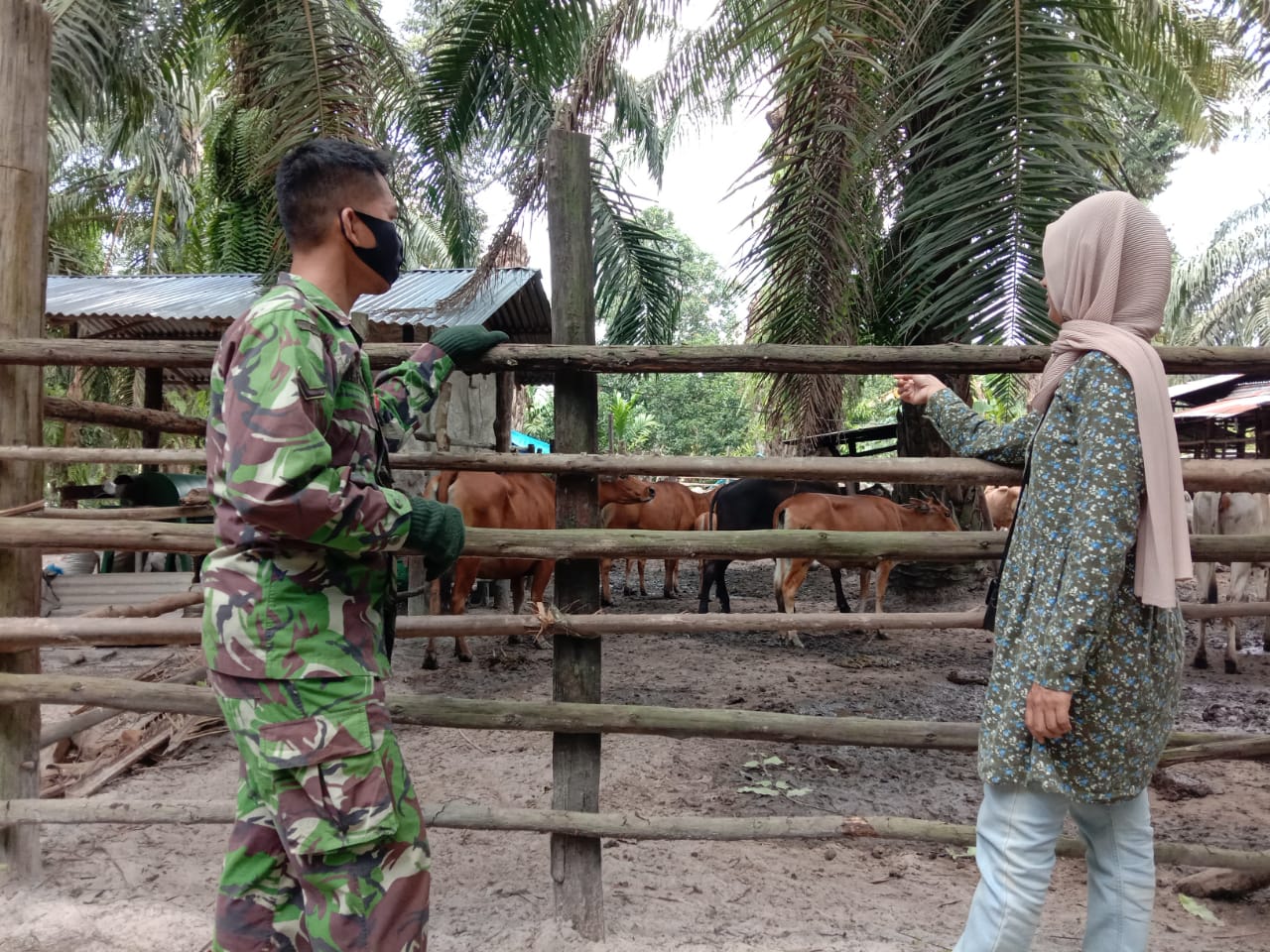 Pantau Hewan Ternak di Tasik Serai Timur, Babinsa Serda M. Fikri Upayakan Pencegahan PMK