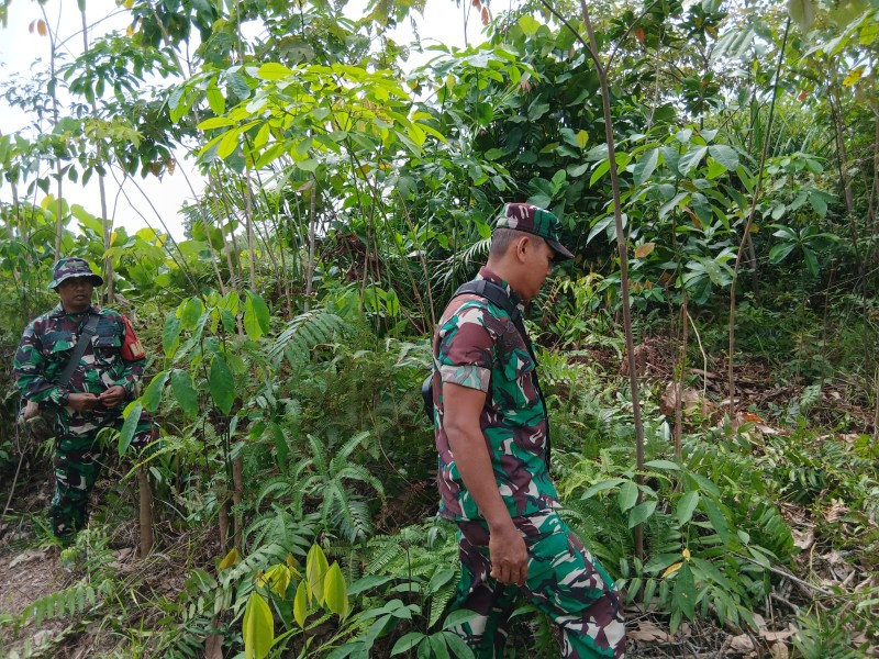 Babinsa Serka Ristiyo, Sertu Sihotang, Serda Reiza Patroli Karhutla di Pematang Pudu, Mandau