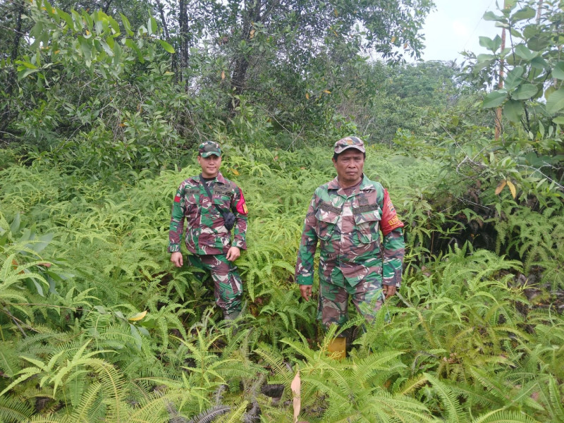 Babinsa Sertu Rosdianto, Serda D. Simanjuntak dan Praka A. Manulang, berpatroli Karhutla di Desa Petani, Batsol