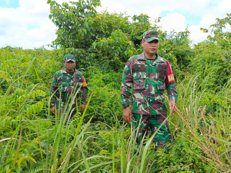 Babinsa Sertu Rosdianto, Sertu Awaluddin dan Serda Ml. Silaban, Berpatroli Karhutla di Mandau, Bengkalis