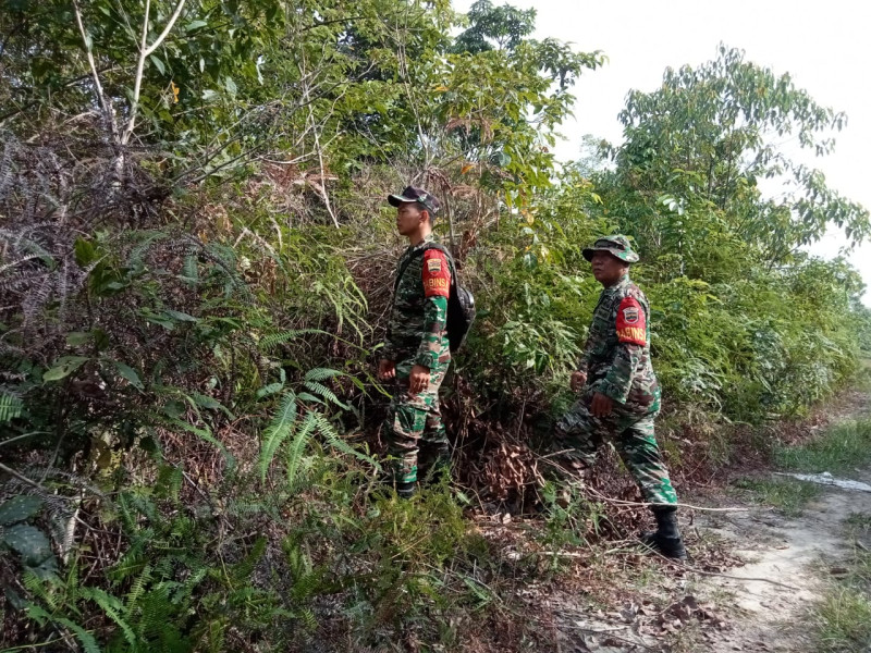 Cegah Karhutla, Babinsa Mandau Sertu P. Sinaga, Pratu M. Hanafi dan Pratu Kifron Laksanakan Patroli di Jalan Tegal Sari Ujung