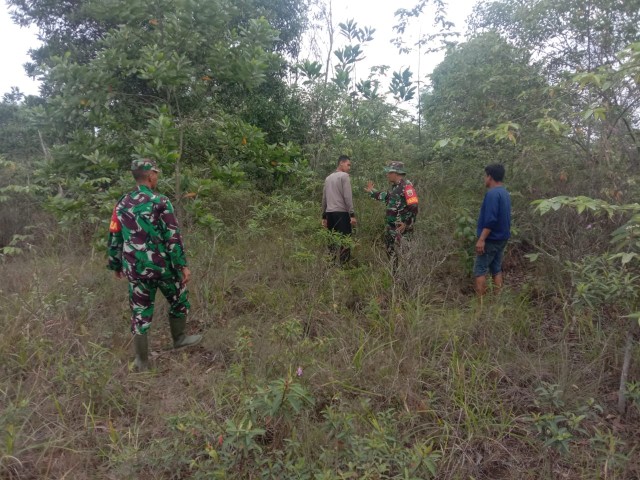 Babinsa Koramil 03/Mandau Sertu Handoko dan Koptu ML. Silaban Laksanakan Patroli Karhutla di Balai Makam