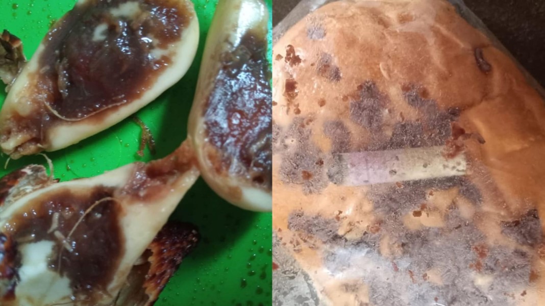 Terkait Temuan MBG Diduga Tak Higienis Kemana SPPG Mandau dan Bengkalis