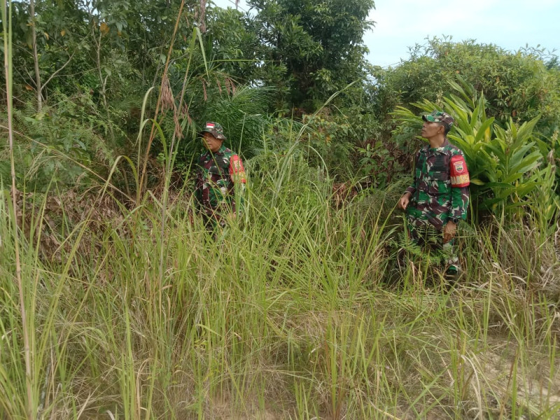 Babinsa Sertu Robby, Serda ML. Silaban, Kopda Bambang Berpatroli Karhutla di Batsol