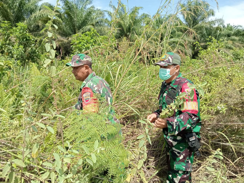 Babinsa Serda Riko Rahman, Koptu Muchsin Khan dan Pratu Hanafi Berpatroli Karhutla di Desa Petani