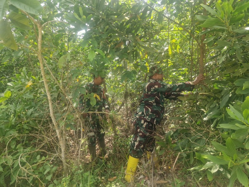 Babinsa Serma Agusliadi, Serda Riza Ramdani Patroli Karhutla di jalan Ujung Batu, Bekasap, Mandau