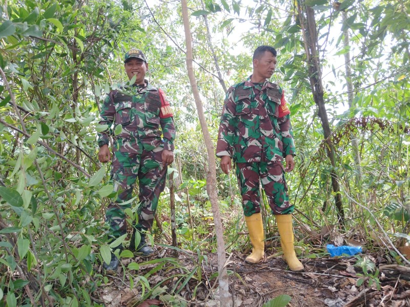 Babinsa Sertu S.Handoko, Sertu Rosdianto, Sertu Awaludin Berpatroli Karhutla di Jalan Tanpa Nama, Desa Petani, Kecamatan Batsol