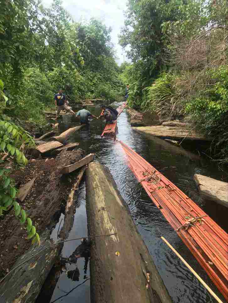 Bawa 2 Ton Kayu Ilegal, SO dan RO Diamankan