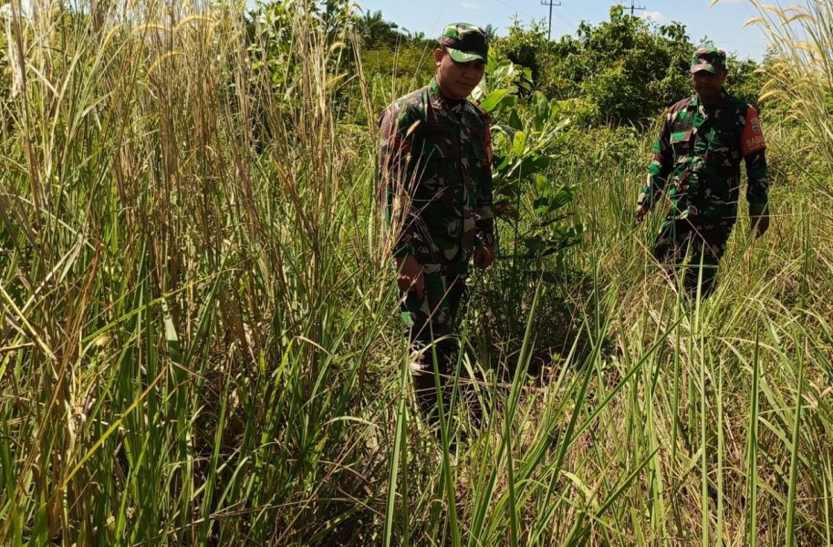 Babinsa Serka Ristiyo, Serka Roy Pardomuan dan Praka Amser Manulang, Berpatroli Karhutla di Pematang Pudu