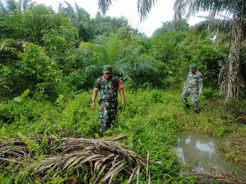 Patroli Rutin Cegah Karhutla, Babinsa Serka N. Saragih dan Kopda M. Khan Berpatroli di Kelurahan Balai Raja