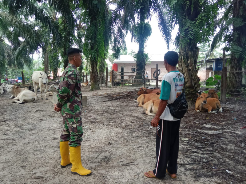 Babinsa Serda M. Fikri Laksanakan Pengecekkan Hewan Ternak di Desa Tasik Serai Timur