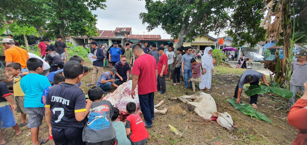 Memaknai Hari Raya Idul Adha 1445 Hijriyah, Jemaah Masjid Rahmatullah BTN Roper, Qurban 7 Ekor Sapi