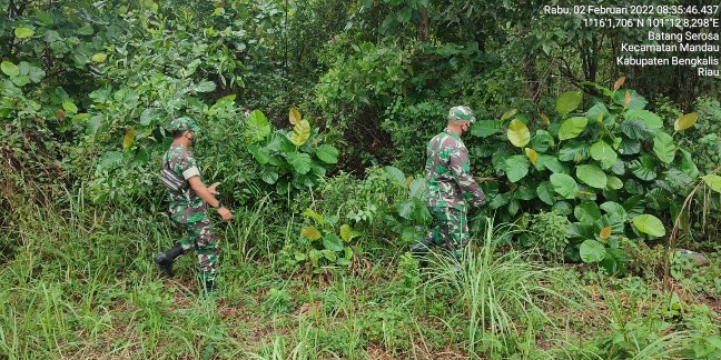 Sertu Roy Pardomuan dan Serda Awaluddin Patroli Karhutla di Kelurahan Batang Serosa