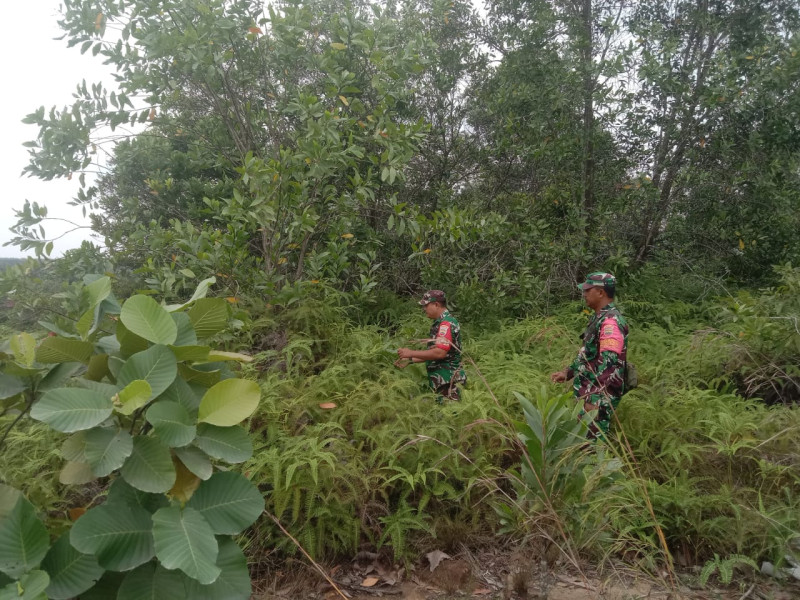 Babinsa Serka Ristiyo, Serda Ml. Silaban dan Kopda Ade, berpatroli Karhutla di Jalan Tanpa Nama, Mandau